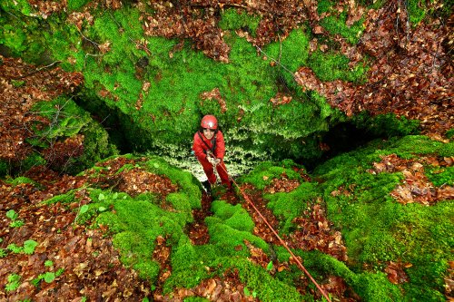 Breitensteiner Baüerin (Franconie, Allemagne) - Puits d'entrée au milieu des mousses avec spéléo remontant sur corde(SP-24-1710)